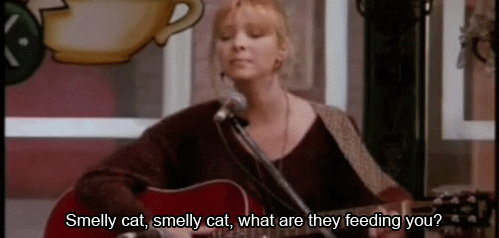 Smelly cat friends gif